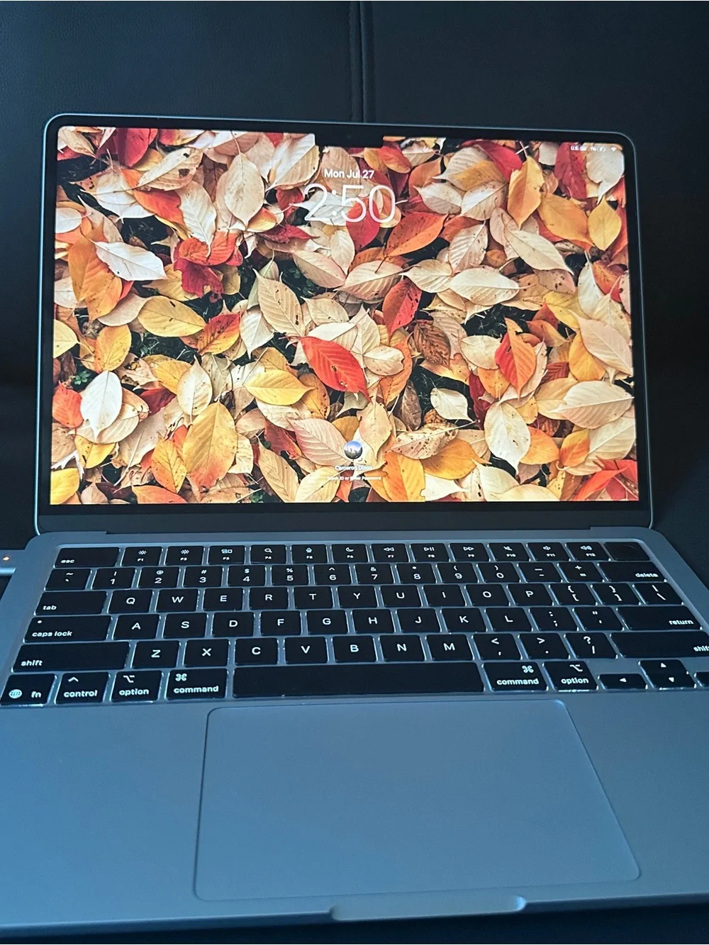 Space Gray Laptop with Black Keyboard & Autumn Leaf Display
